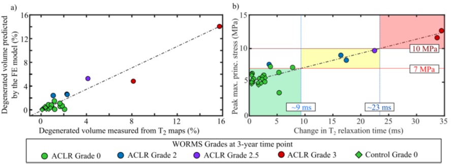 Degenerated volumes predicted by FE model