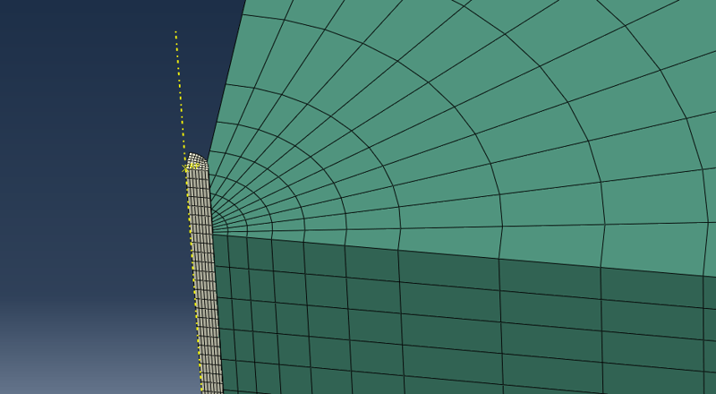 Figure5_Mesh_detail