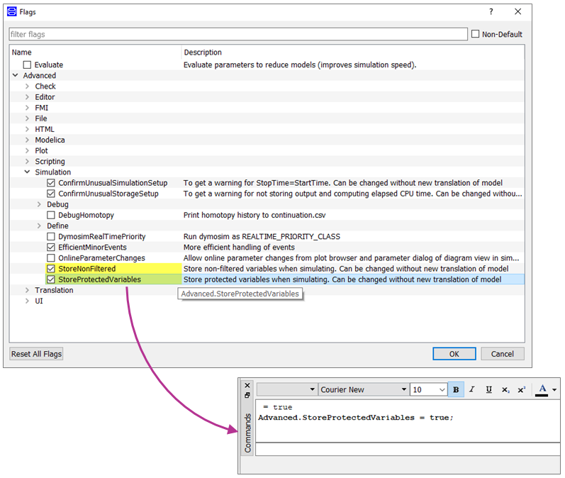 Setting a flag in the Boolean advanced flag GUI in Dymola