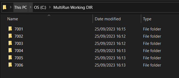 Working directory folders representing CPU cores in MultiRun